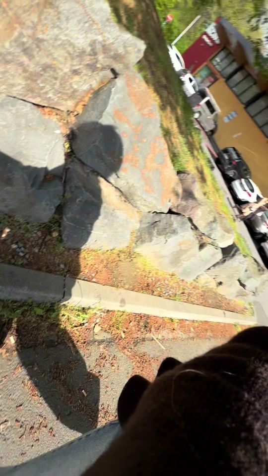 TikTok video thumbnail by saraflako