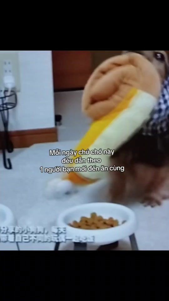 TikTok video thumbnail by camz0_05