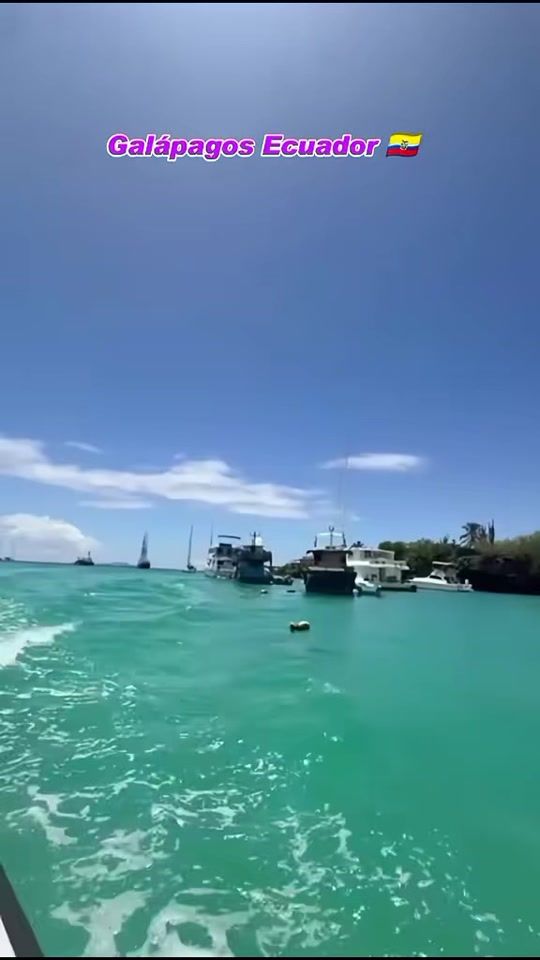 TikTok video thumbnail by droc.10