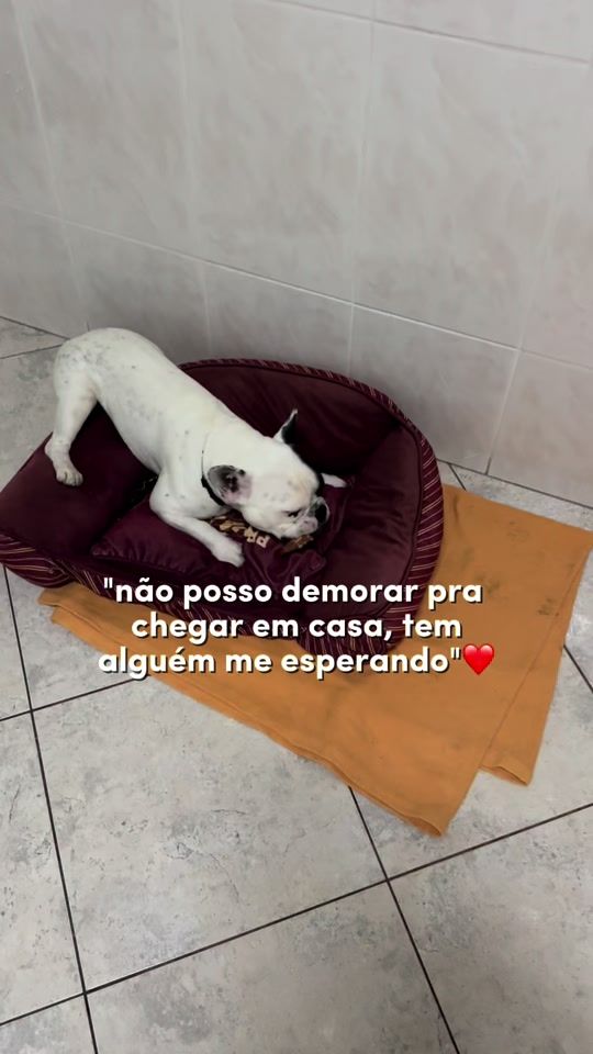 TikTok video thumbnail by marialpsantos