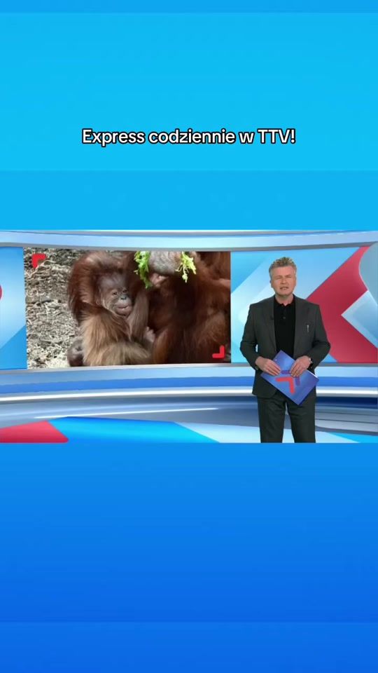 TikTok video thumbnail by ttv.pl