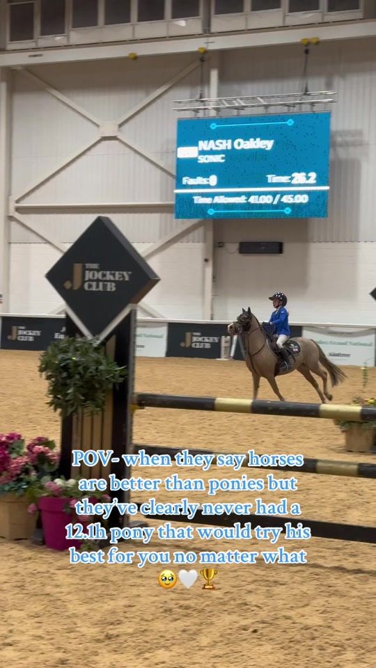 TikTok video thumbnail by oakleynashponies