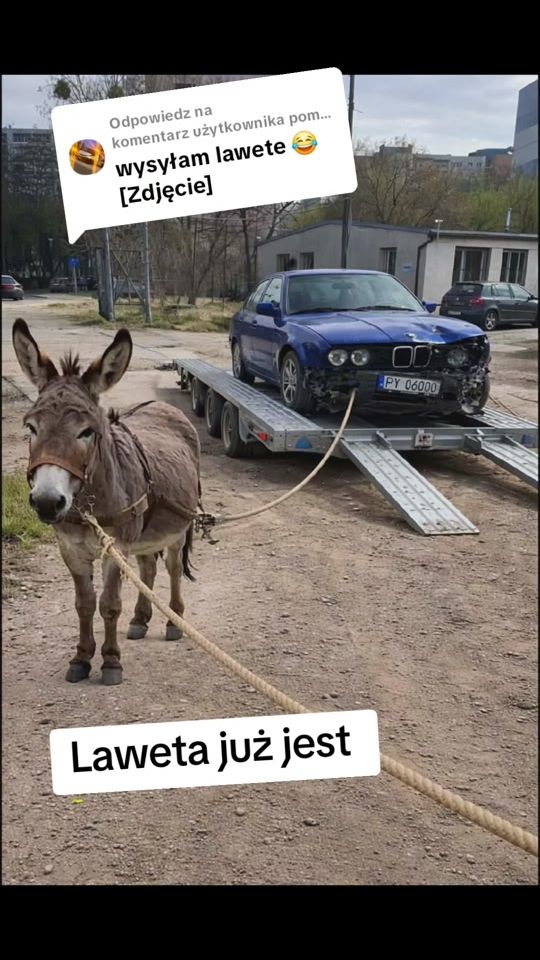 TikTok video thumbnail by marcin.kucharski7