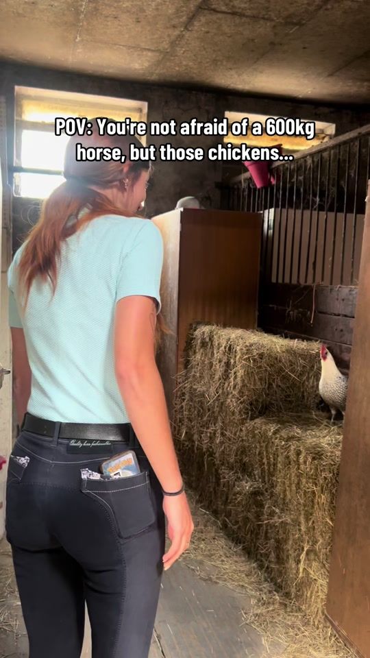 TikTok video thumbnail by horsesbyfenna