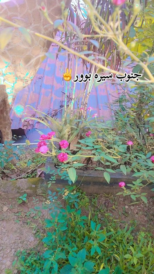 TikTok video thumbnail by .702brd05