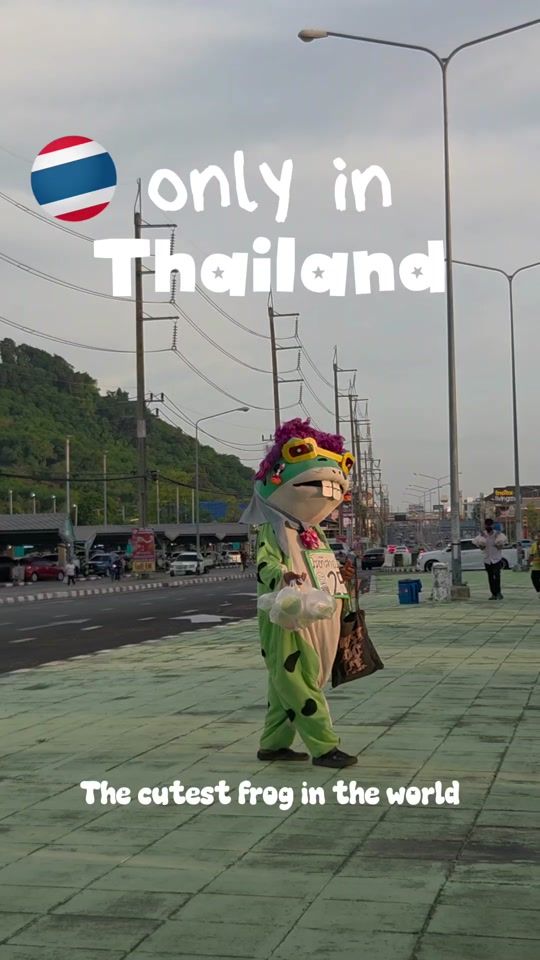 TikTok video thumbnail by raising.a.dutchie.abroad