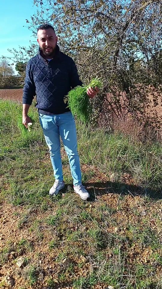 TikTok video thumbnail by moreno_flores12