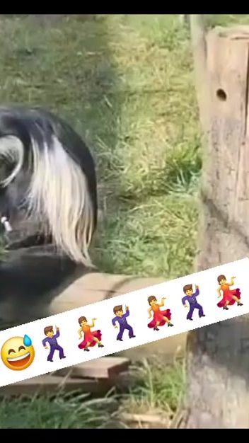TikTok video thumbnail by stefan11.10.1975