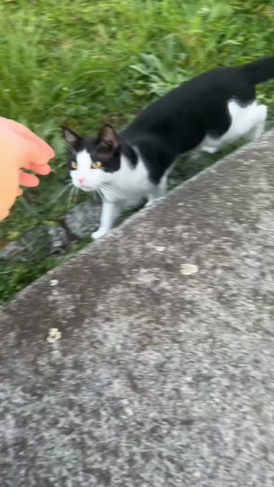 TikTok video thumbnail by ari_sindi21