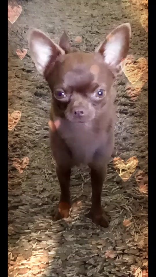 TikTok video thumbnail by kimmeke82