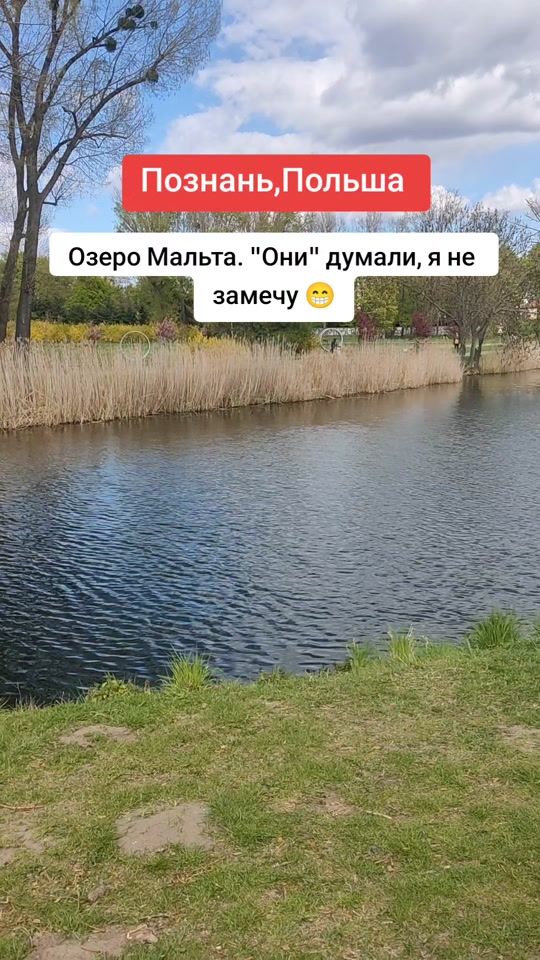 TikTok video thumbnail by dima_kesh_official