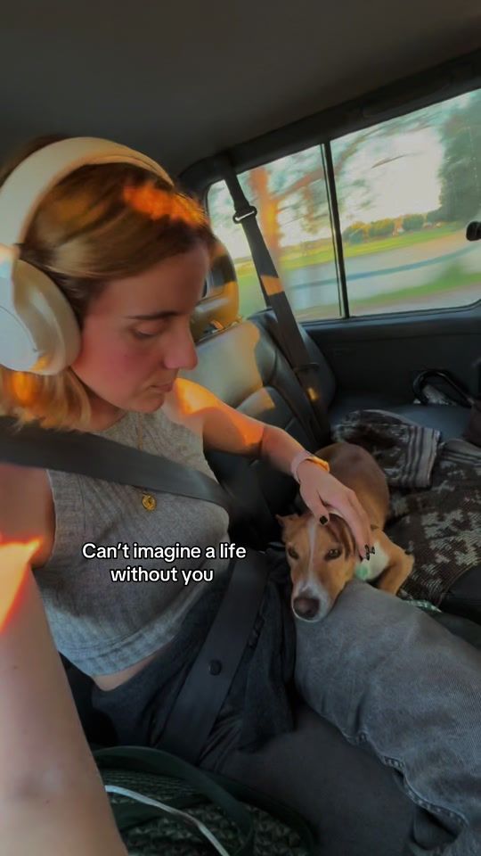 TikTok video thumbnail by jusparkles