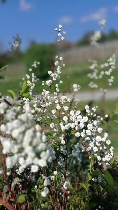 TikTok video thumbnail by martinatinanovak