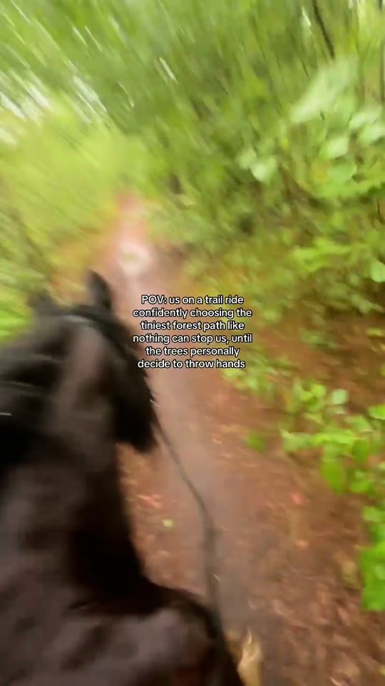 TikTok video thumbnail by equestrian.warre