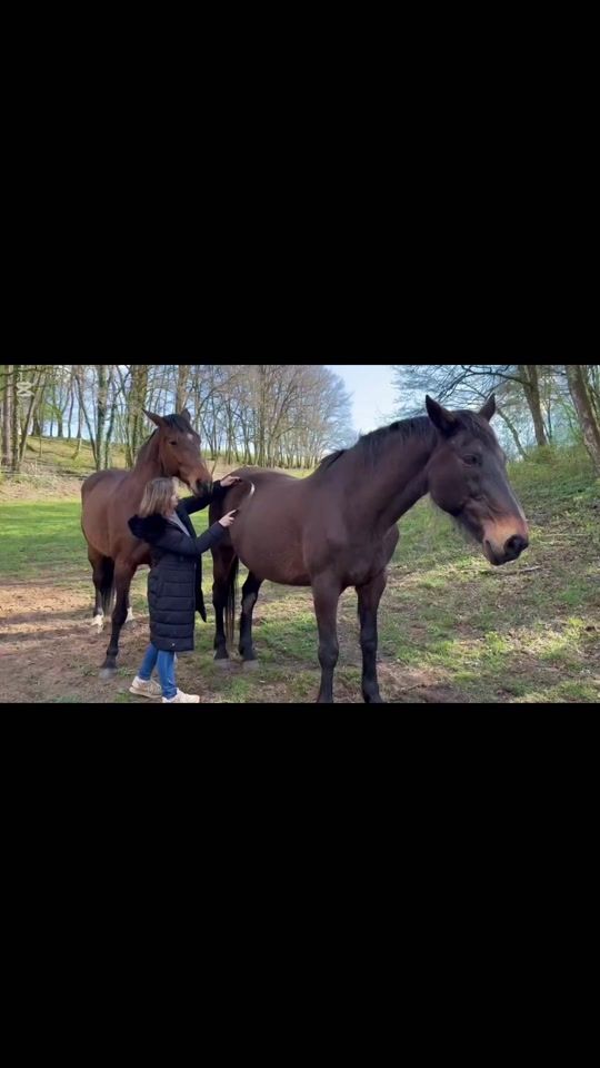 TikTok video thumbnail by maman.fille01