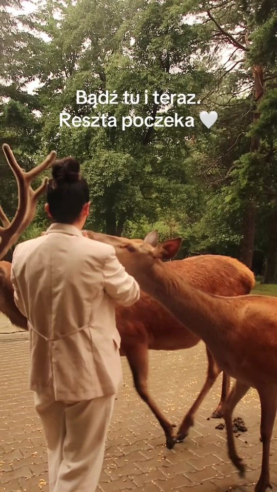 TikTok video thumbnail by chodakowskaewa