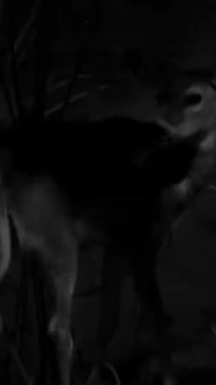 TikTok video thumbnail by ximaak