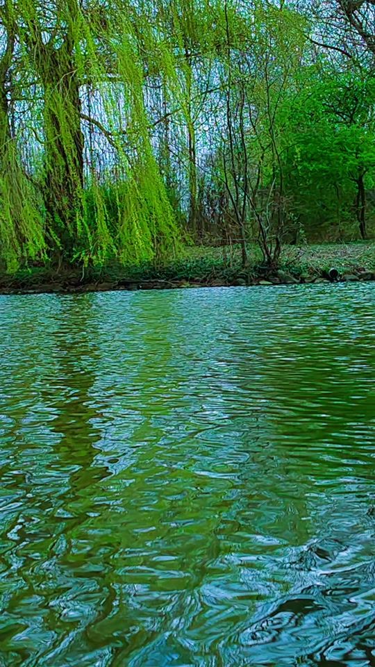 TikTok video thumbnail by natur.02