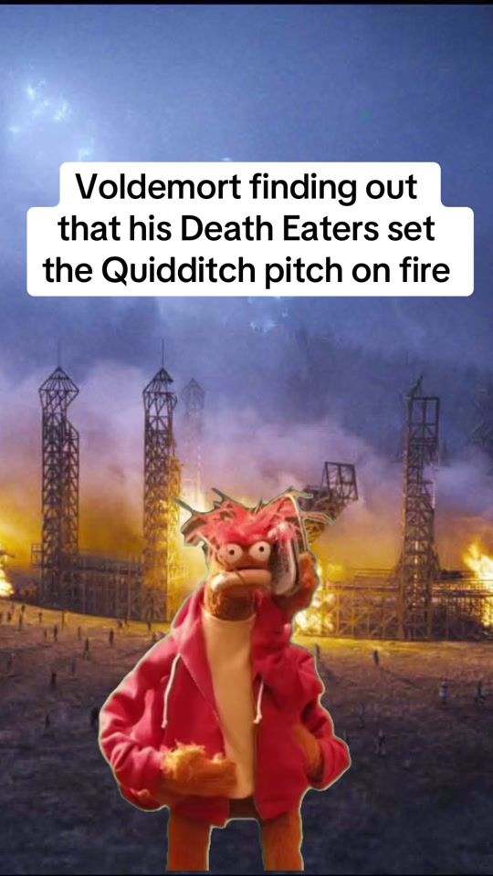 TikTok video thumbnail by muggleland0