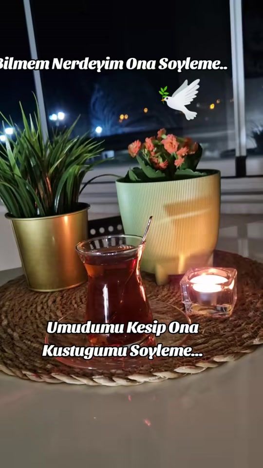 TikTok video thumbnail by sonn.baharr