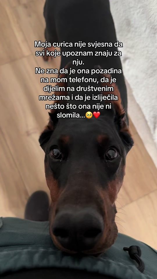 TikTok video thumbnail by leonakosicc