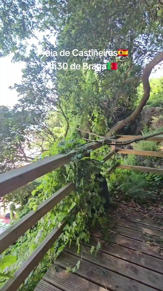 TikTok video thumbnail by danillodejesus