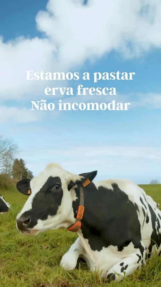 TikTok video thumbnail by terra_nostra_