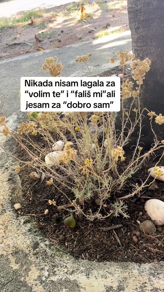 TikTok video thumbnail by mirjana7253
