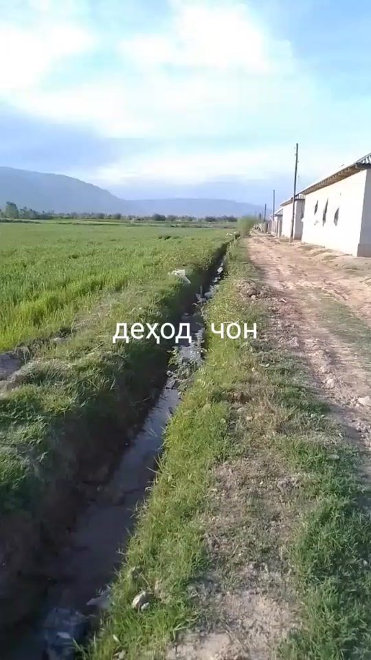 TikTok video thumbnail by mavluda19368