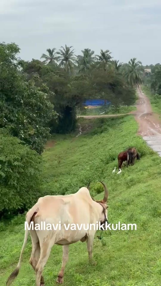 TikTok video thumbnail by baskaran22ibc