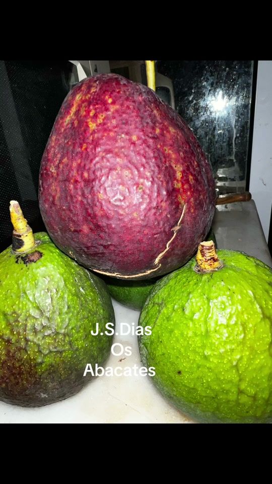 TikTok video thumbnail by josedias91