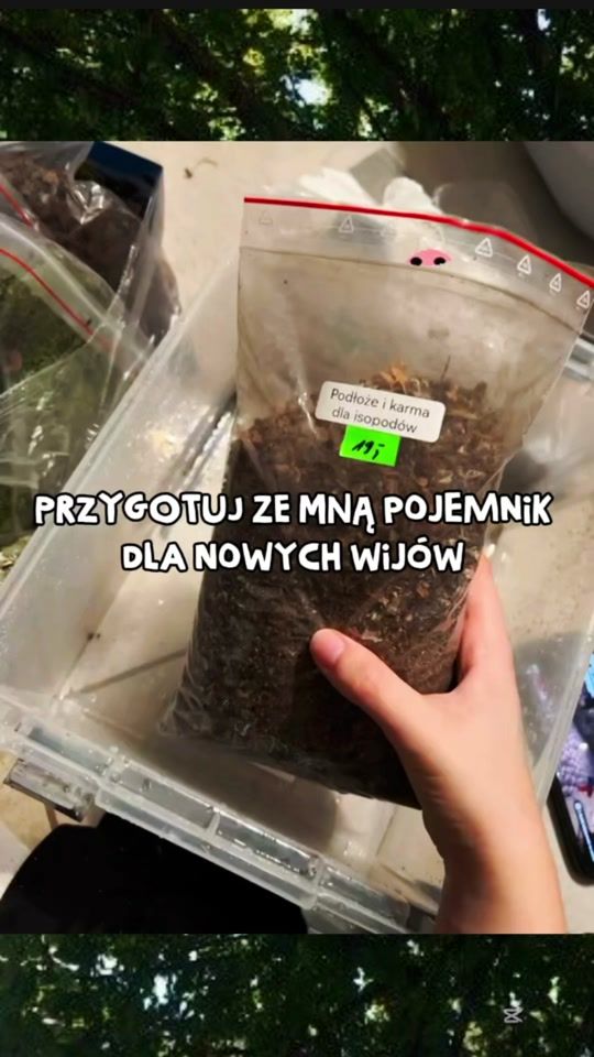 TikTok video thumbnail by its.lokitts