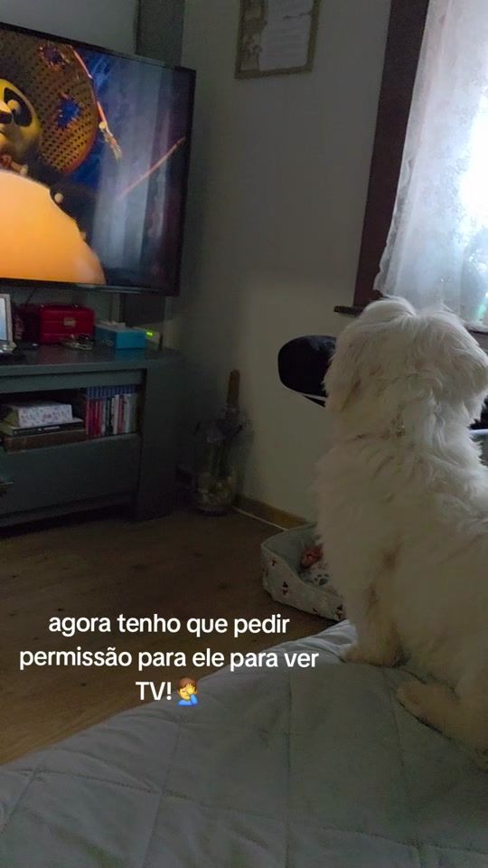 TikTok video thumbnail by diiferrer