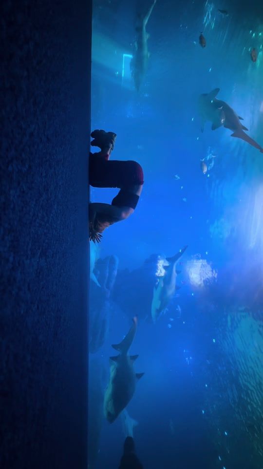 TikTok video thumbnail by erikasusec