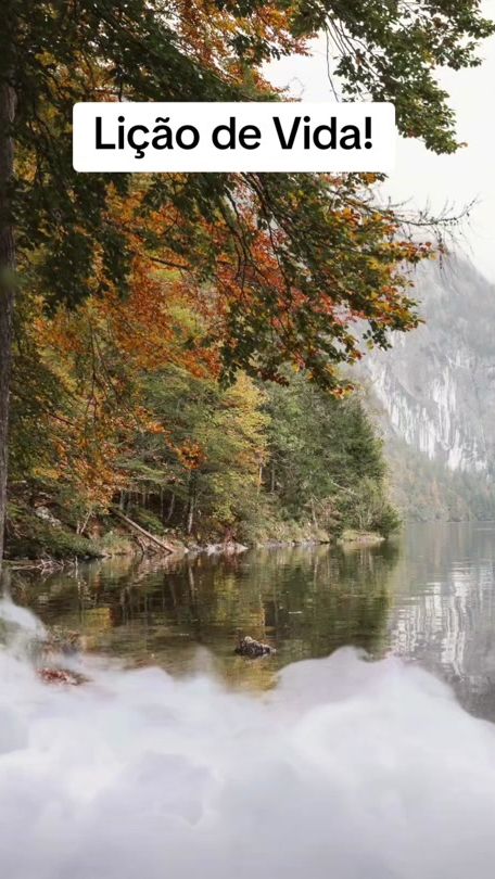 TikTok video thumbnail by vitormonteiropt