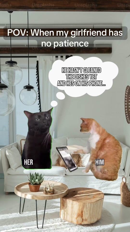 TikTok video thumbnail by notreallyrick