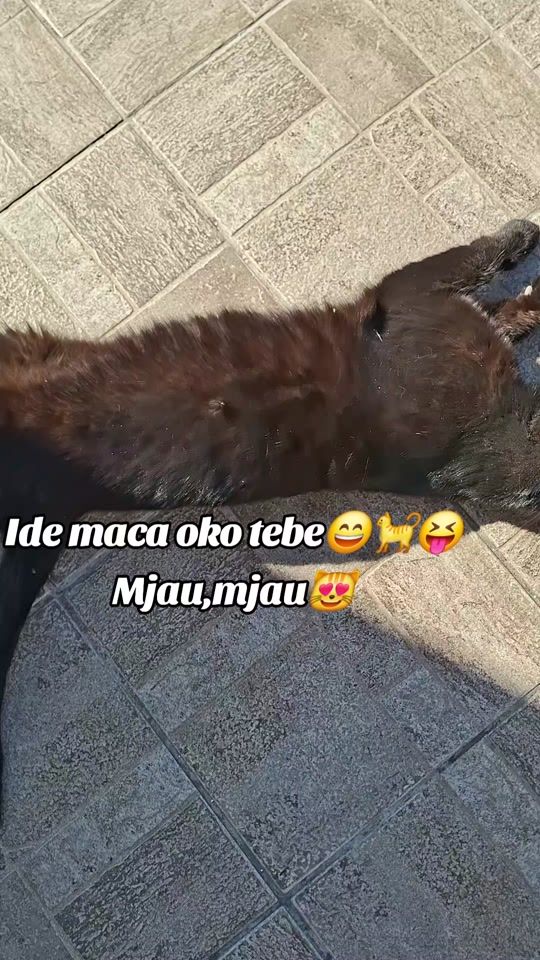 TikTok video thumbnail by user436_013