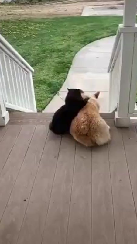 TikTok video thumbnail by kleinklm