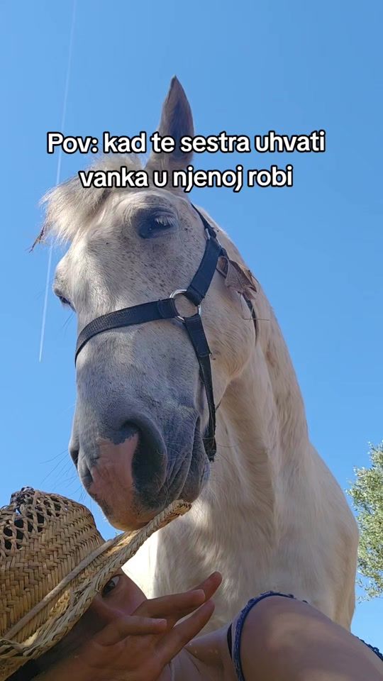 TikTok video thumbnail by ranch_reful