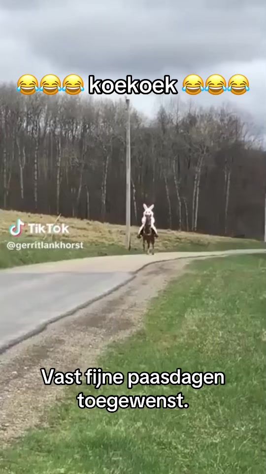 TikTok video thumbnail by renewalner