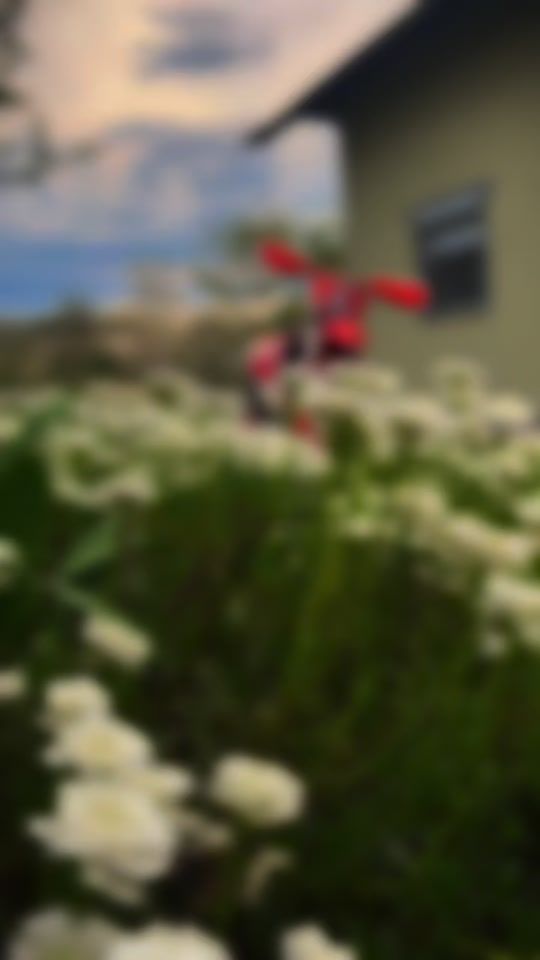 TikTok video thumbnail by irman_jsc