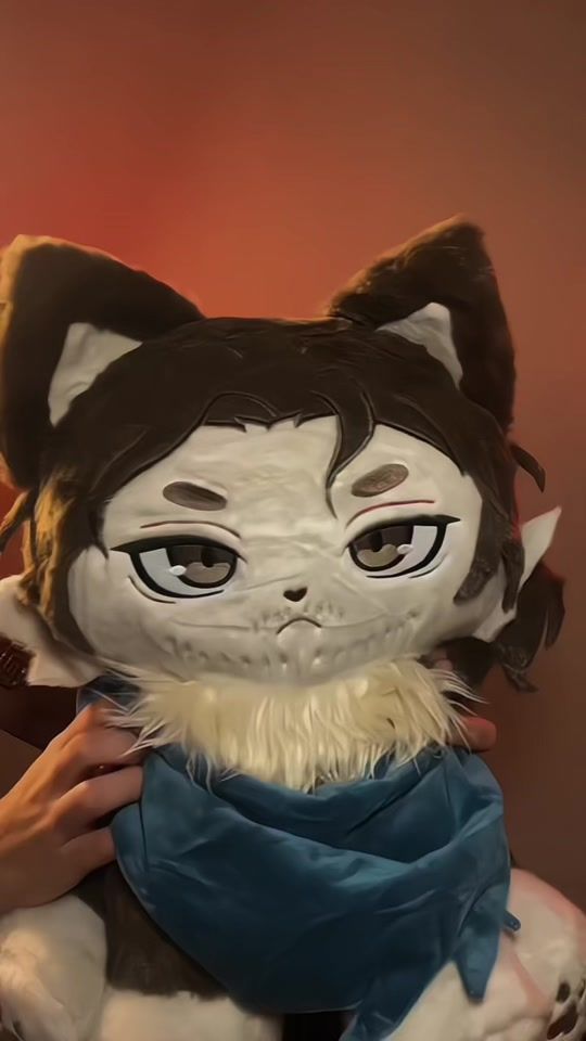 TikTok video thumbnail by docinho.de.franboesa