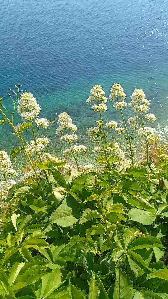 TikTok video thumbnail by dario1687