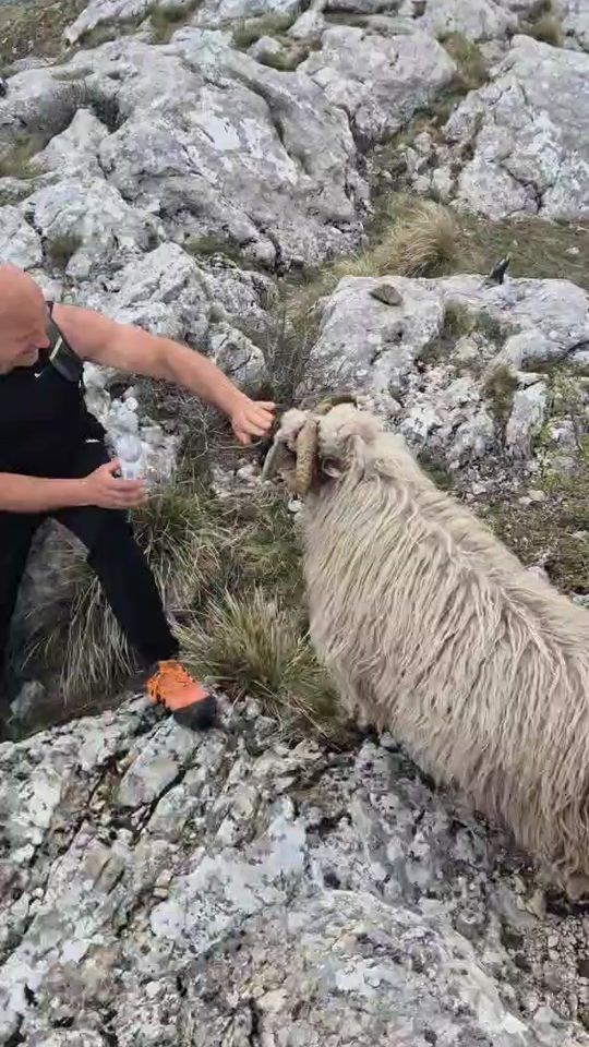 TikTok video thumbnail by dalibordzaja