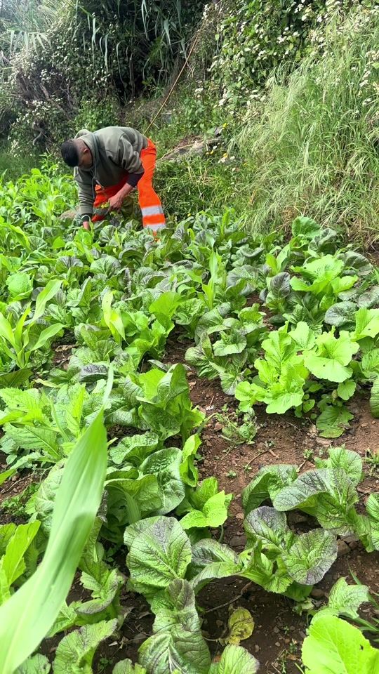 TikTok video thumbnail by harichhetri920