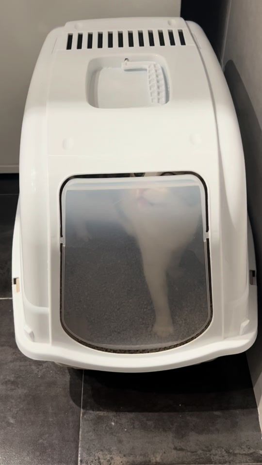 TikTok video thumbnail by uleret