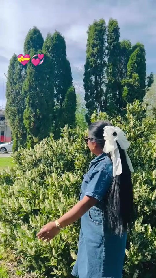 TikTok video thumbnail by yalsinamagar