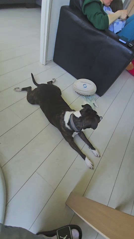TikTok video thumbnail by martinnl85