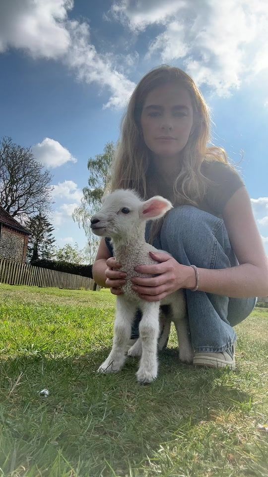 TikTok video thumbnail by mollymariecook