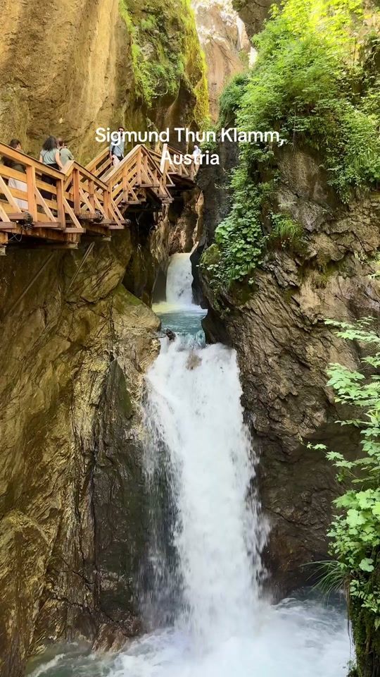 TikTok video thumbnail by deemshome